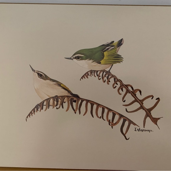 Vintage placemats by Milhurst New Zealand fine art Native Bird Series x 6 - Picture 6 of 14